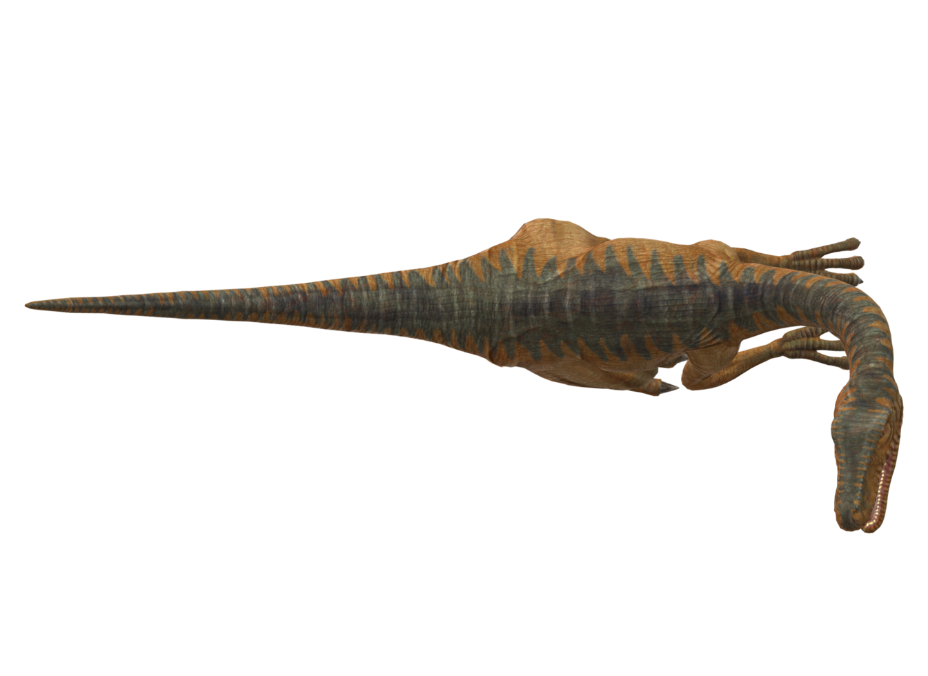 Dilophosaurus Dinosaur Isolated on a Transparent Background png