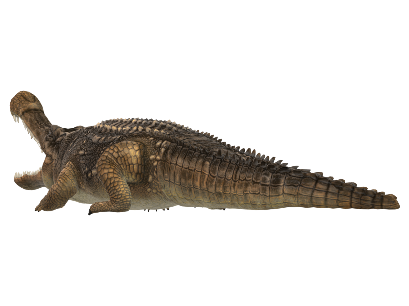 Sarcosuchus Crocodile isolated on a Transparent Background png