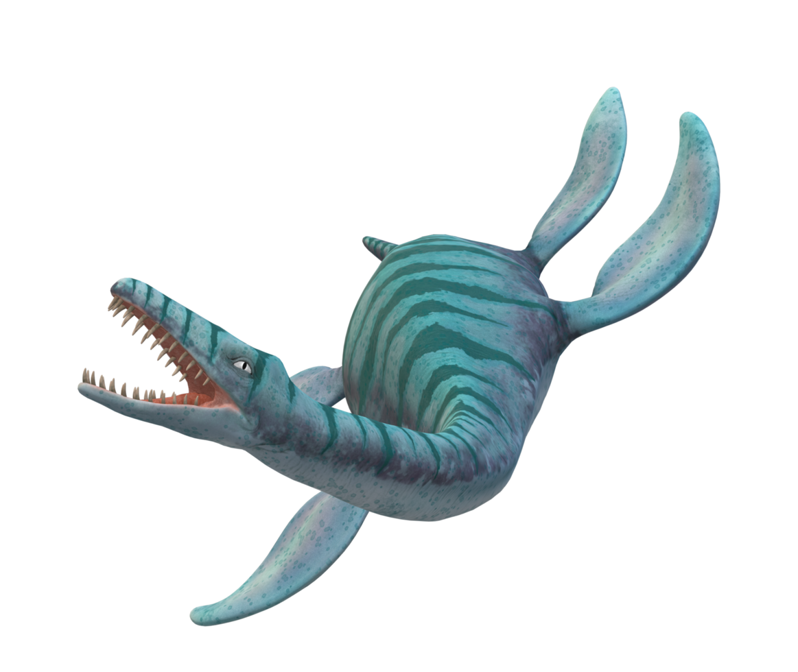 Plesiosaurus Dinosaur isolated on a Transparent Background png