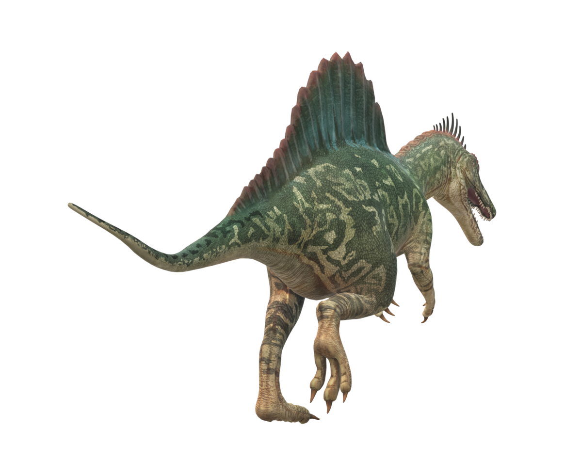Spinosaurus isolated on a Transparent Background png
