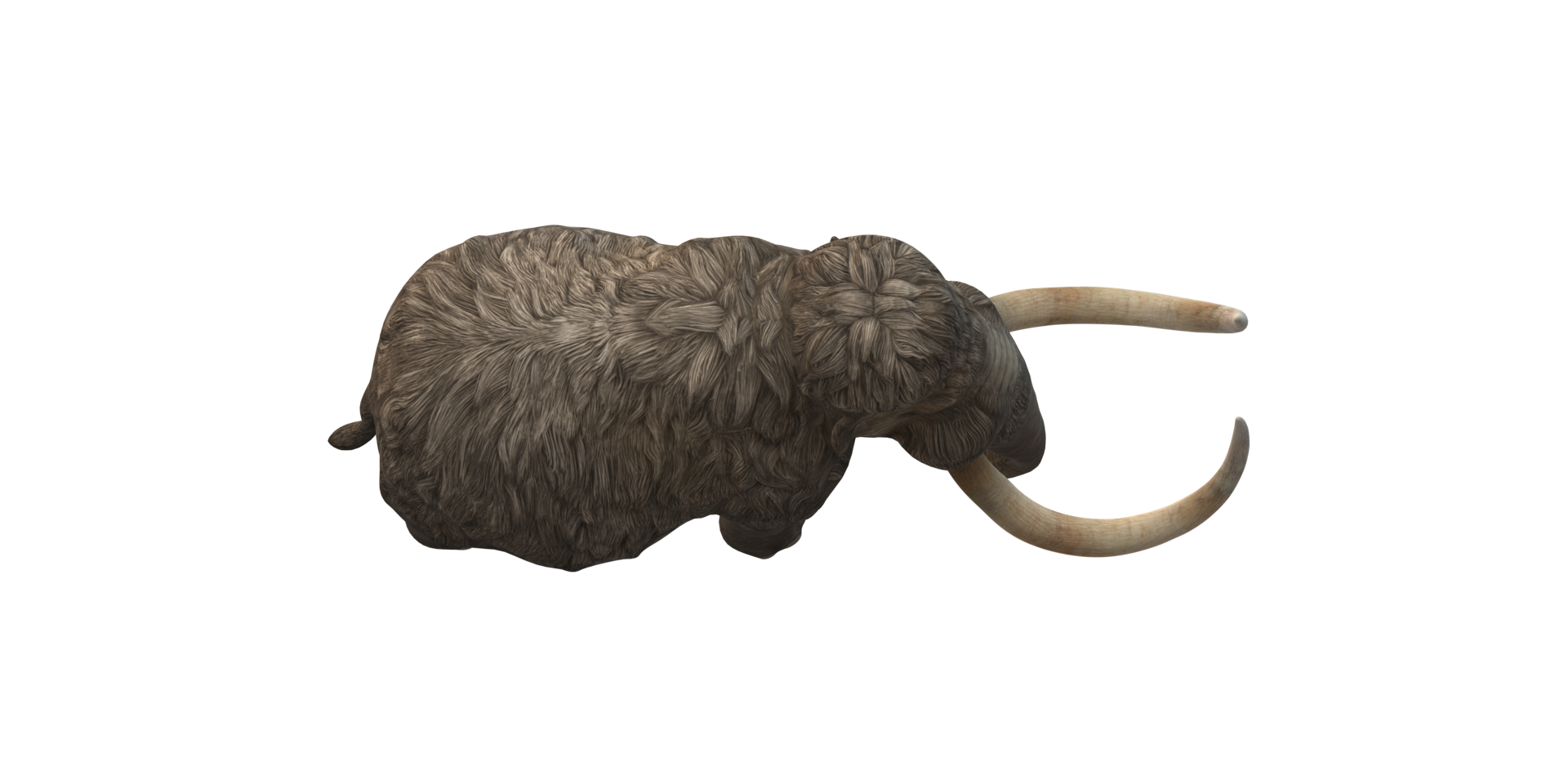 Woolly Mammoth isolated on a Transparent Background png