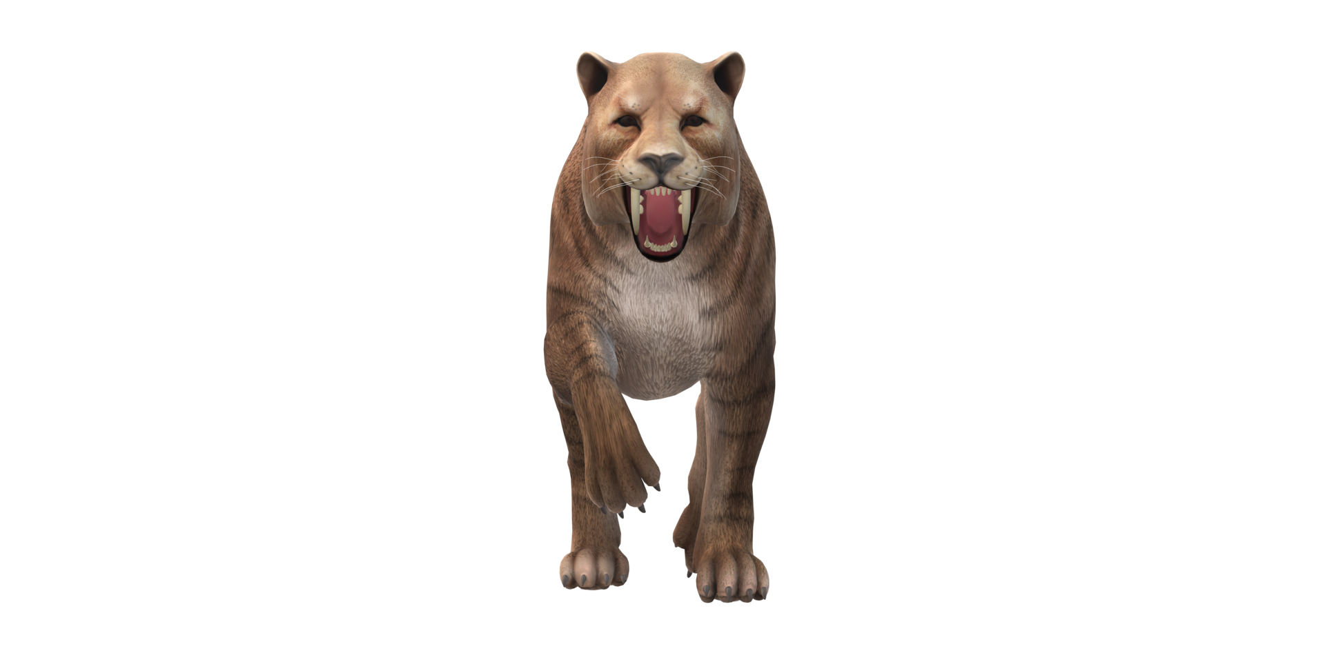 Sabre Toothed Cat isolated on a Transparent Background png