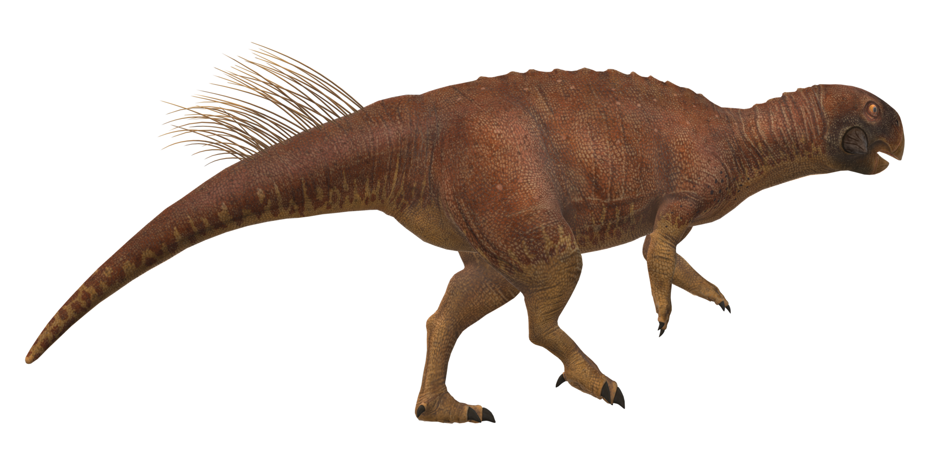 Psittacosaurus isolated on a Transparent Background png