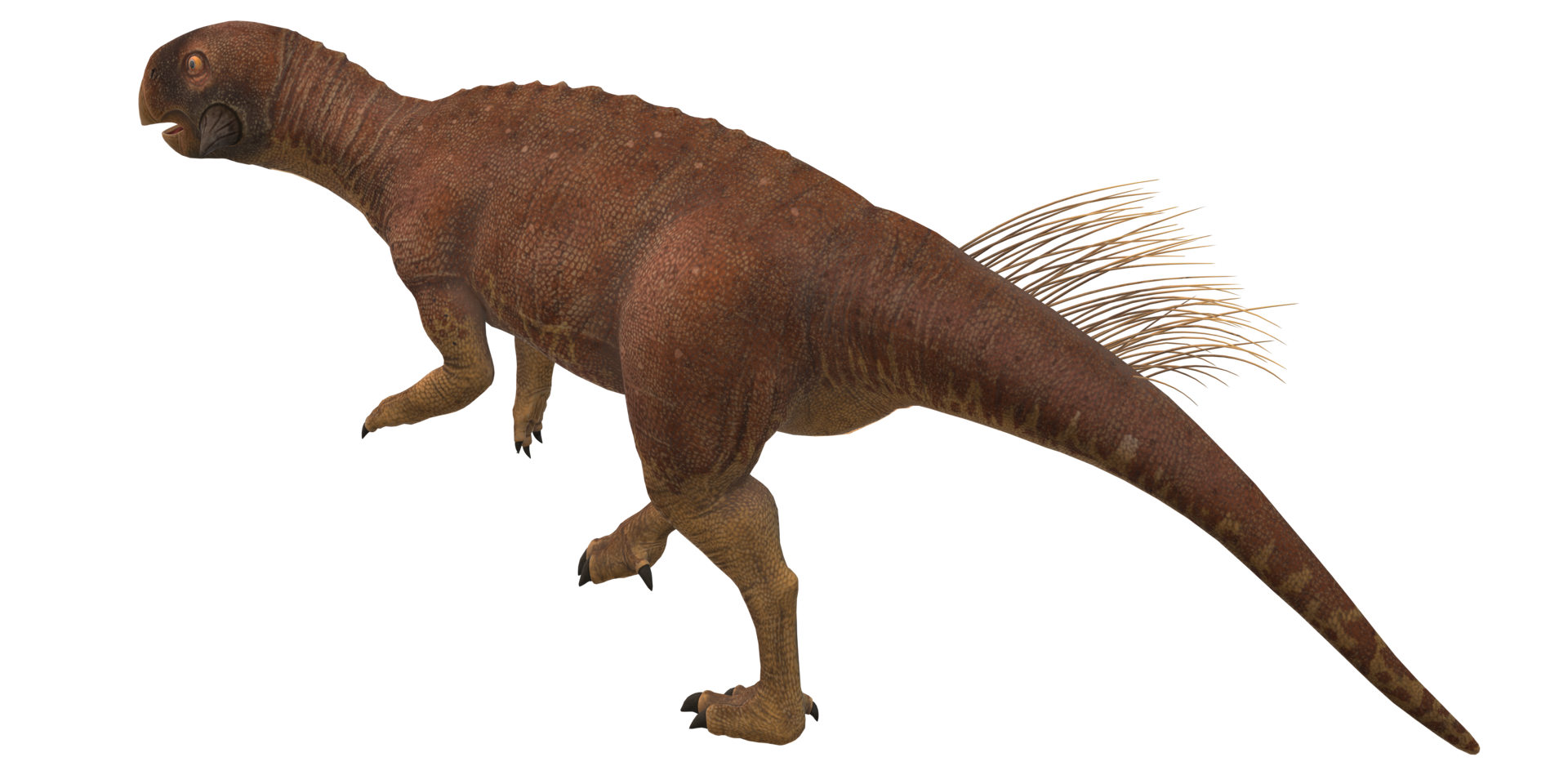 Psittacosaurus isolated on a Transparent Background png