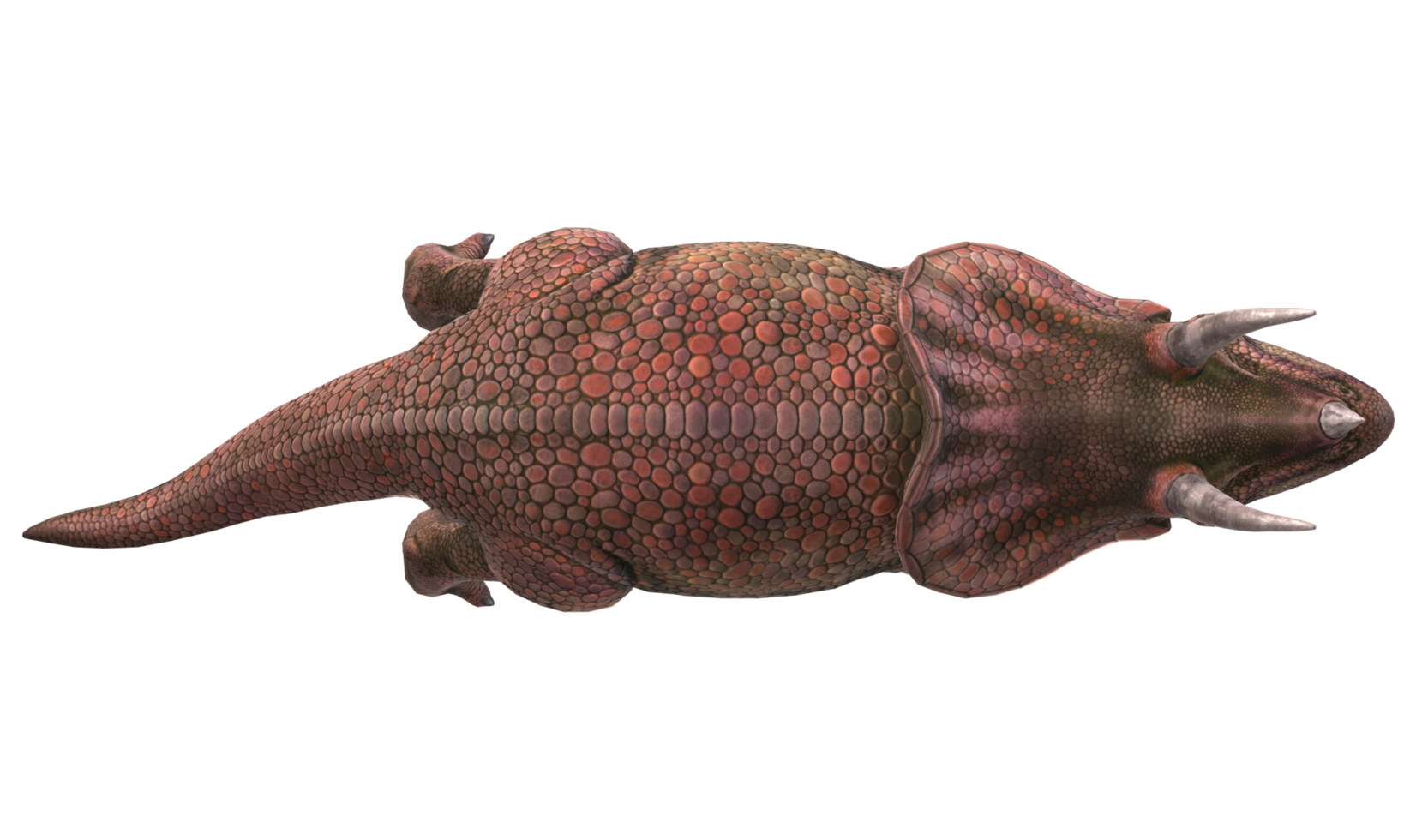 Triceratops isolated on a Transparent Background png