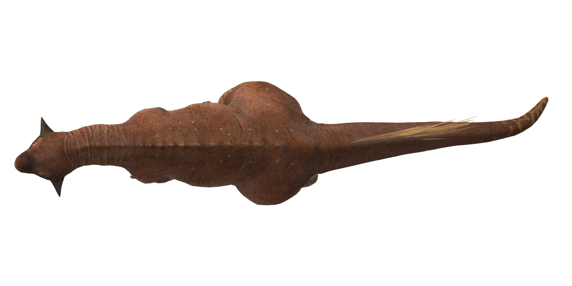 Psittacosaurus isolated on a Transparent Background png