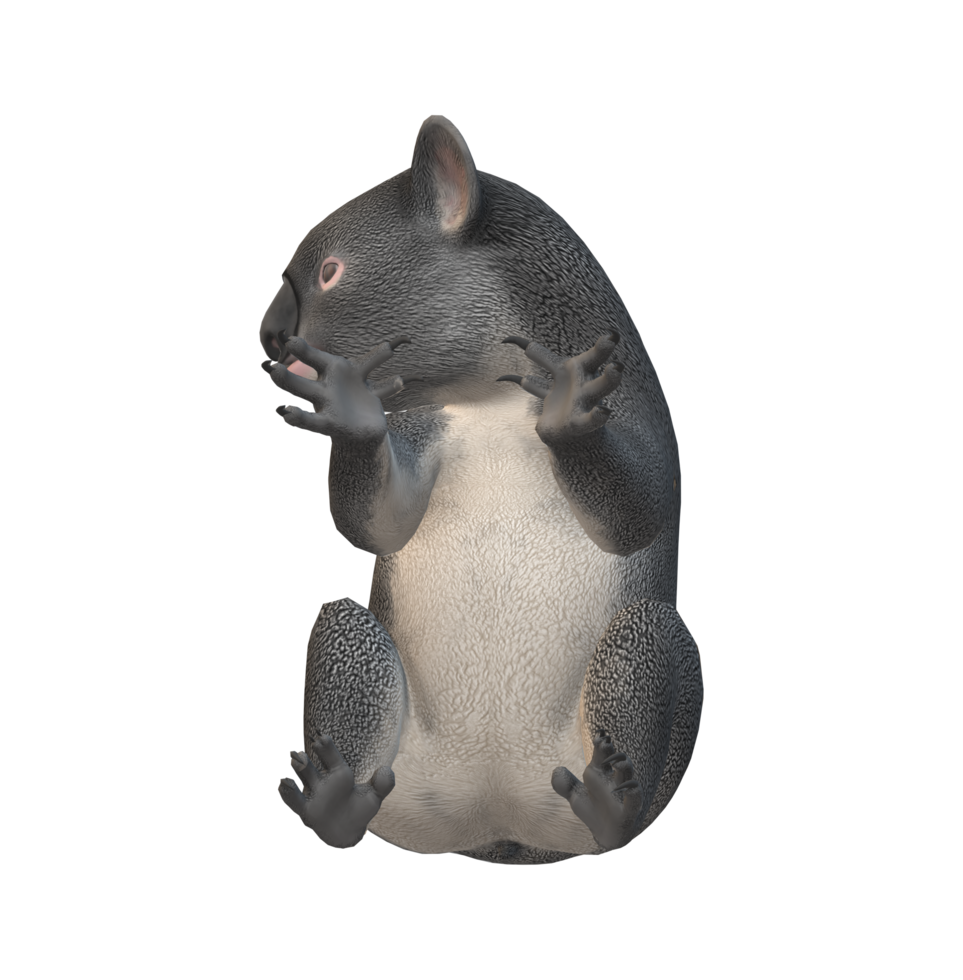 Koala Bär isoliert auf ein transparent Hintergrund png