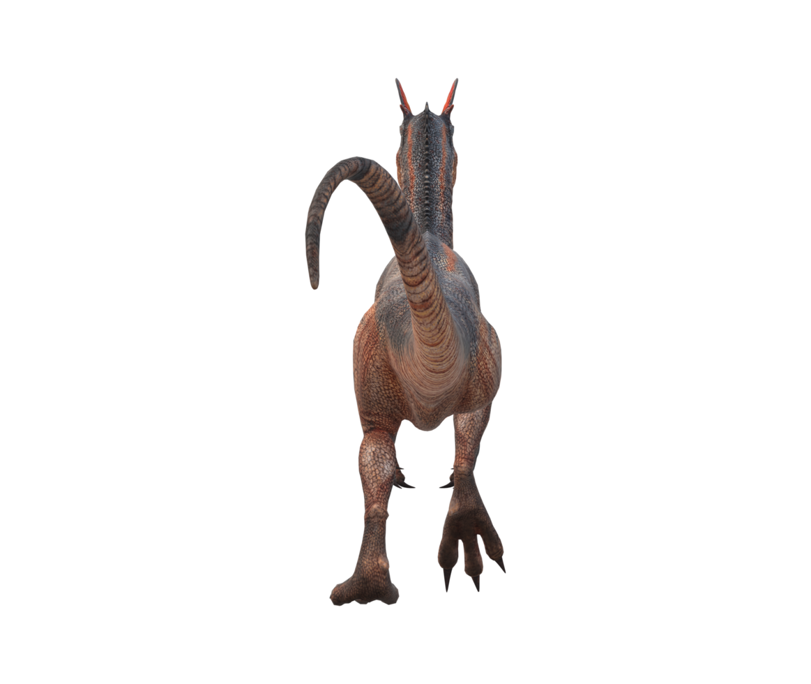 Velociraptor Dinosaur isolated on a Transparent Background png