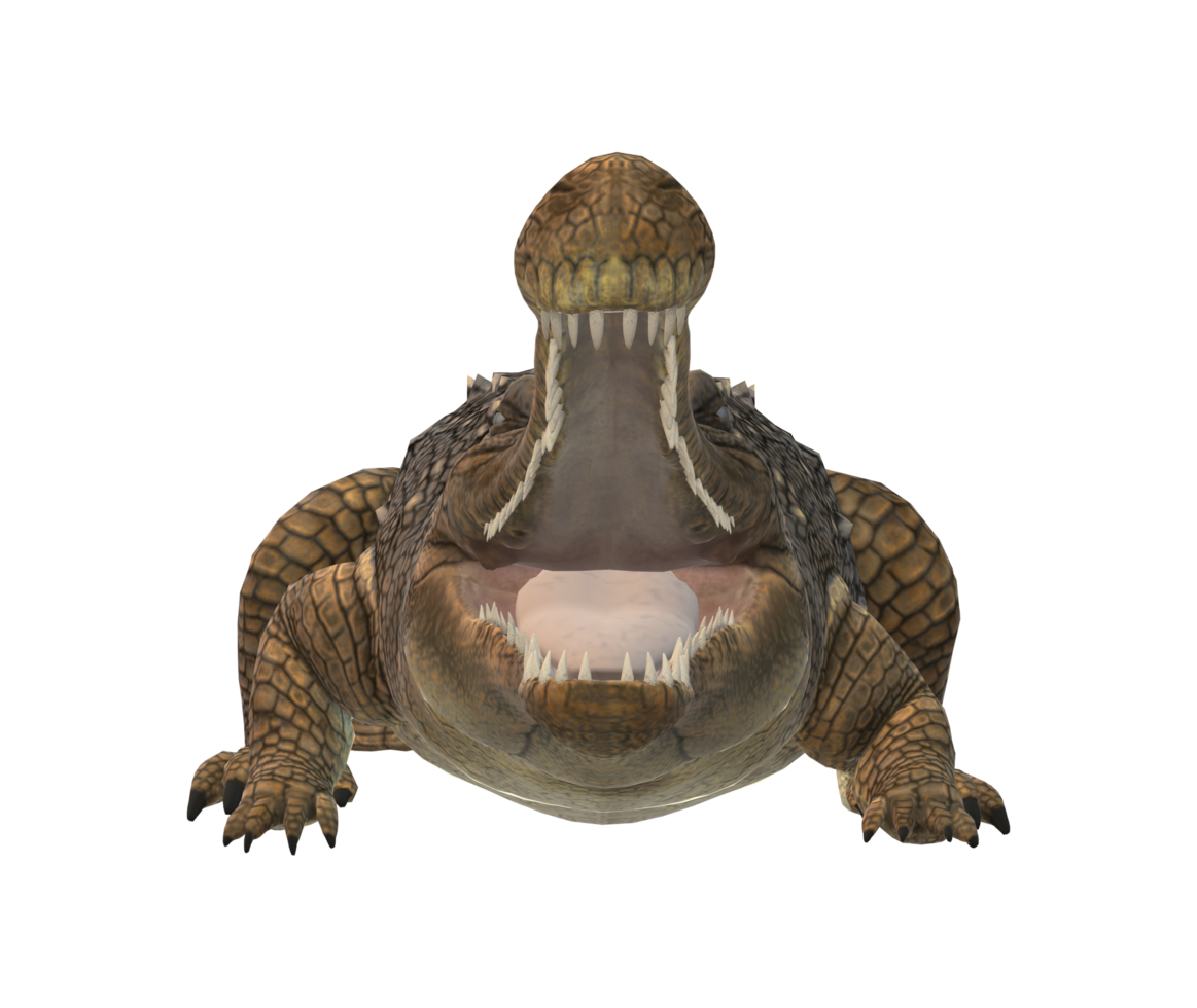 Sarcosuchus Crocodile isolated on a Transparent Background png