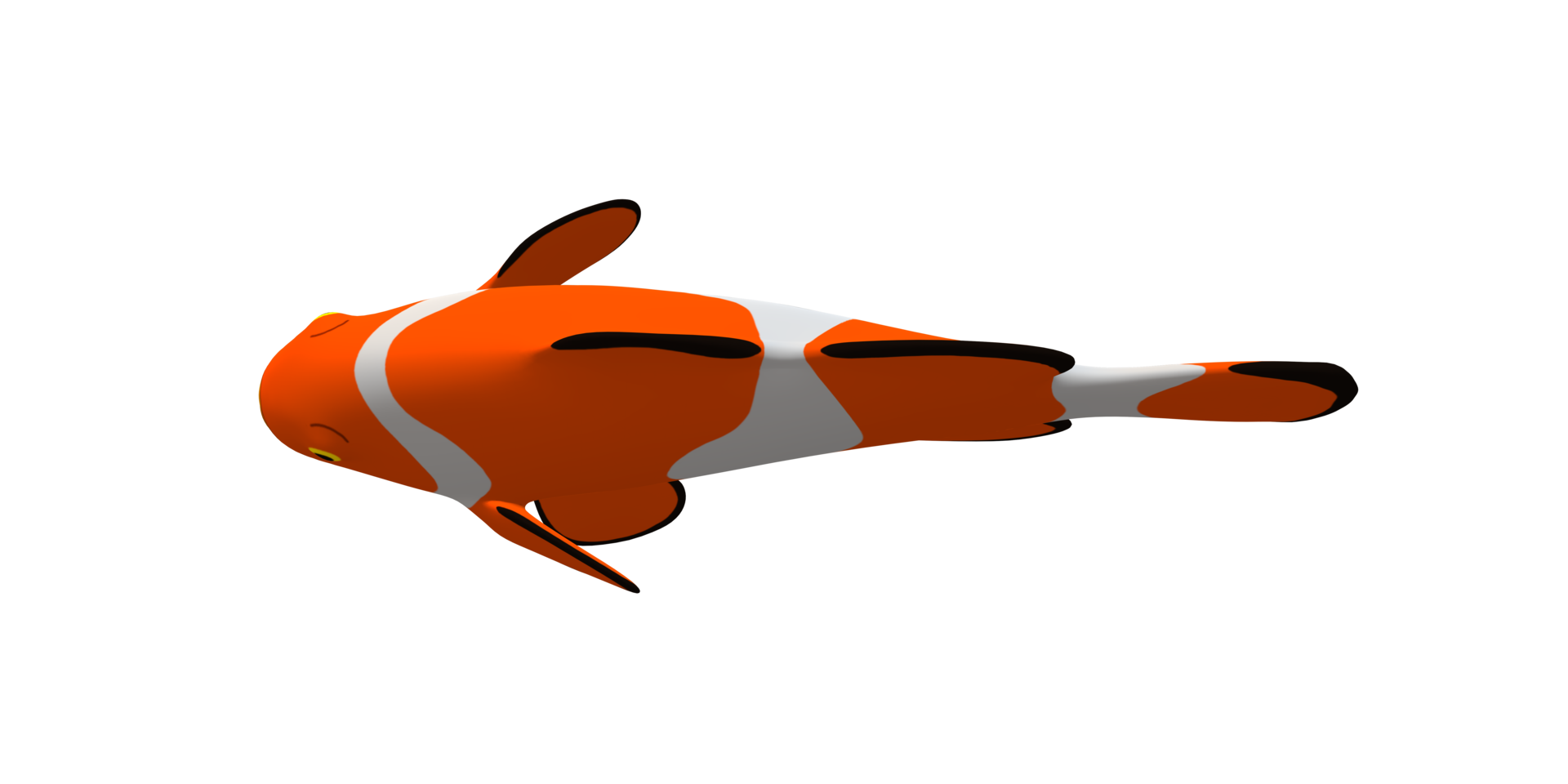 Clown Fish isolated on a Transparent Background png