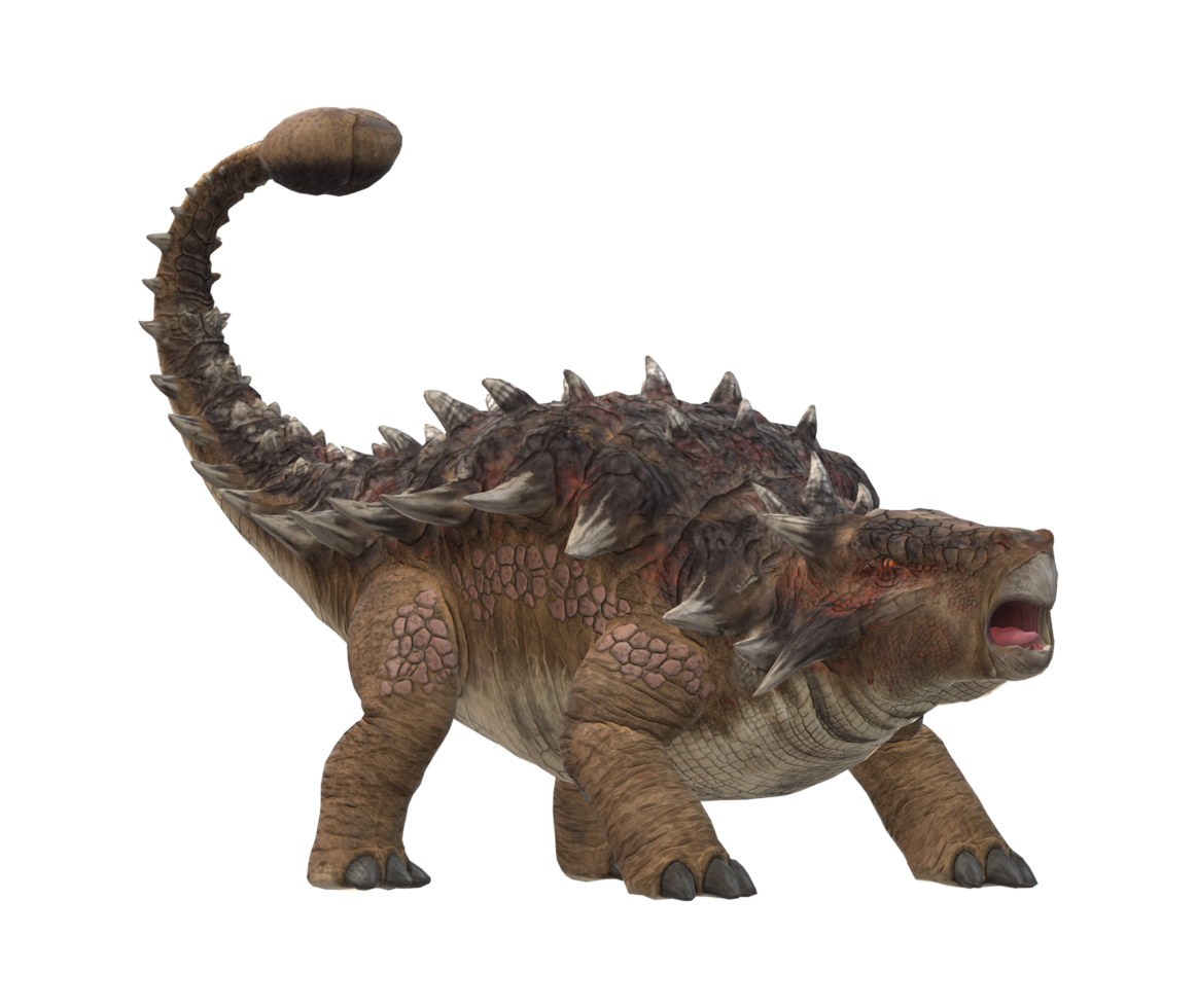 Ankylosaurs isolated on a Transparent Background png