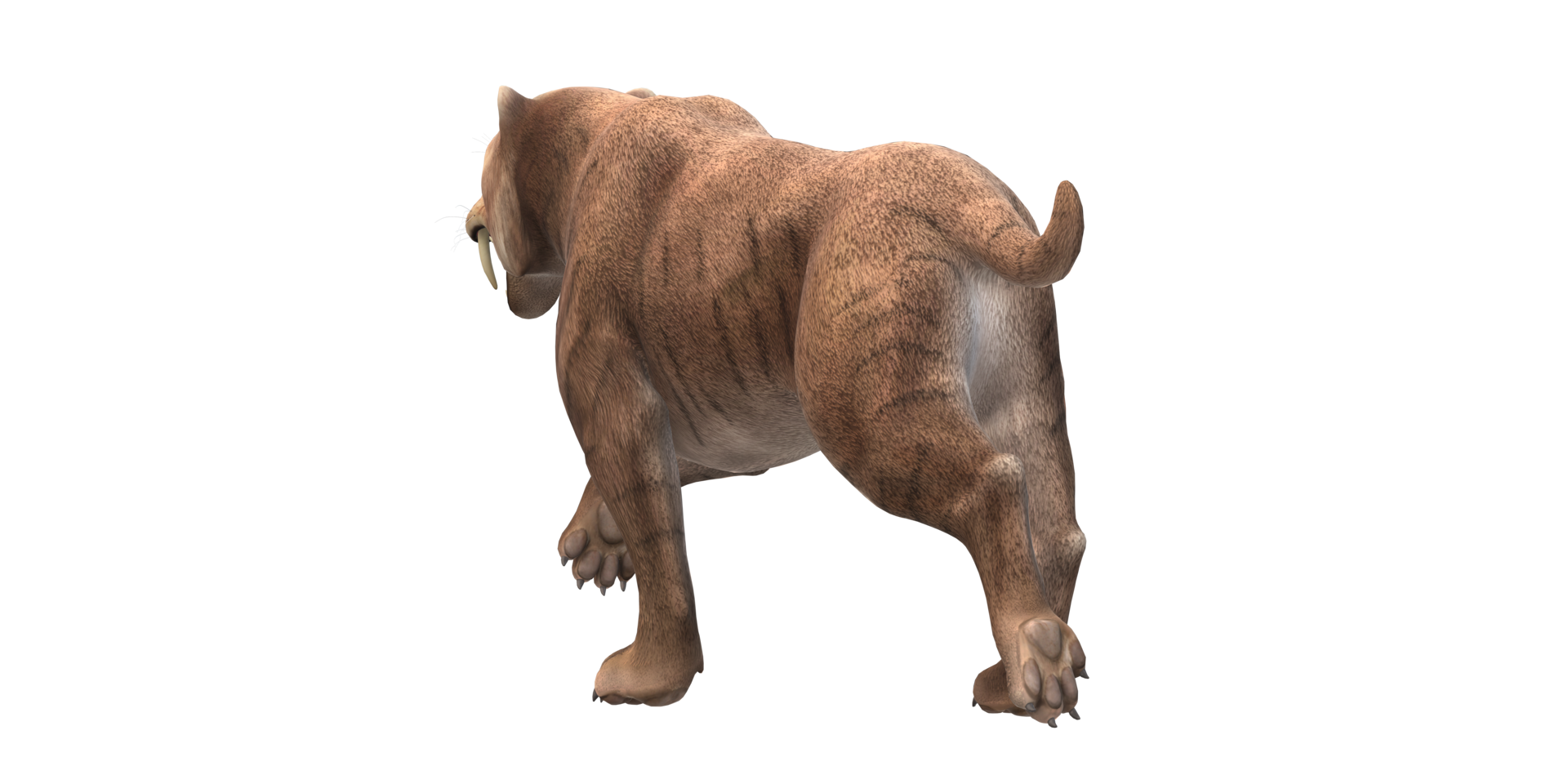 Sabre Toothed Cat isolated on a Transparent Background png