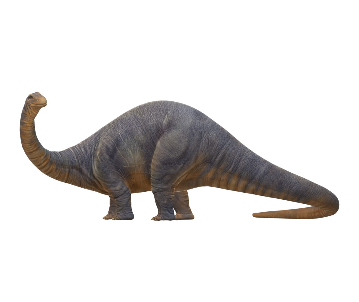 Apatosaurus isolated on a Transparent Background png