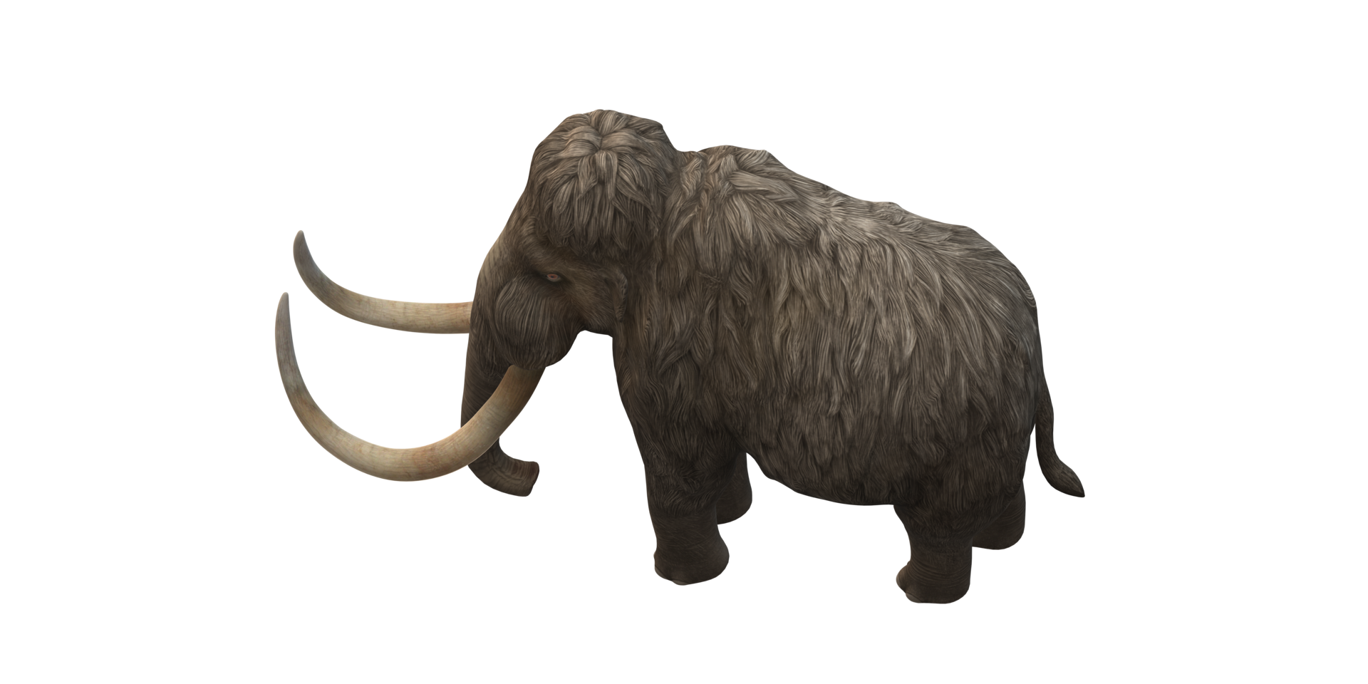 Woolly Mammoth isolated on a Transparent Background png