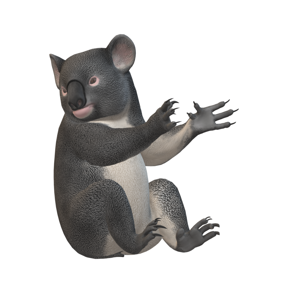 Koala Bär isoliert auf ein transparent Hintergrund png