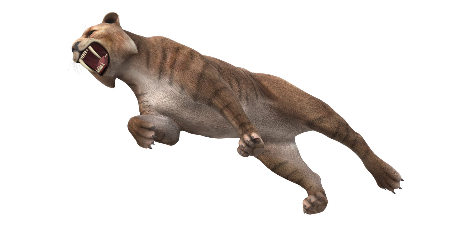 Sabre Toothed Cat isolated on a Transparent Background png