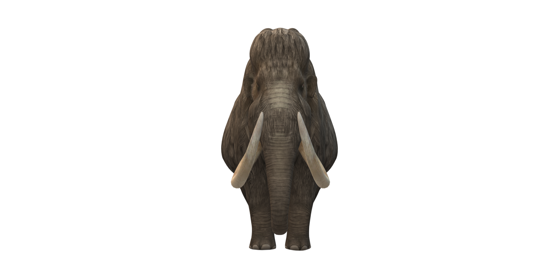 Woolly Mammoth isolated on a Transparent Background png