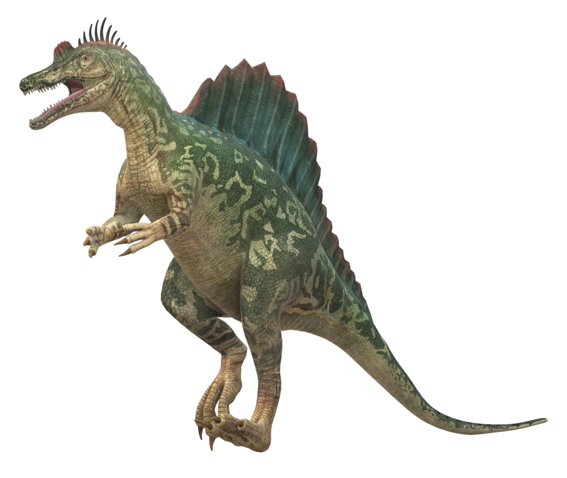 Spinosaurus isolated on a Transparent Background png