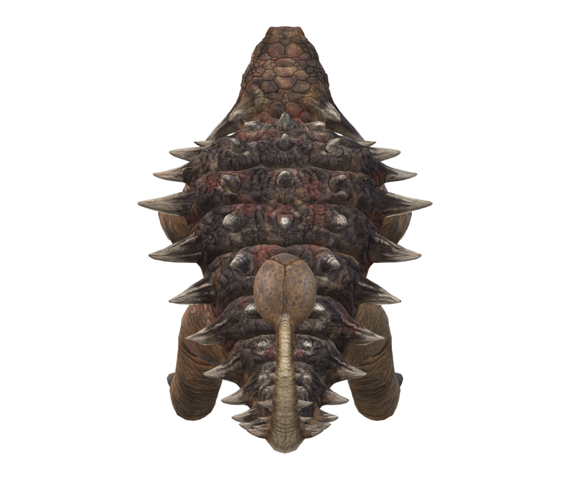 Ankylosaurs isolated on a Transparent Background png