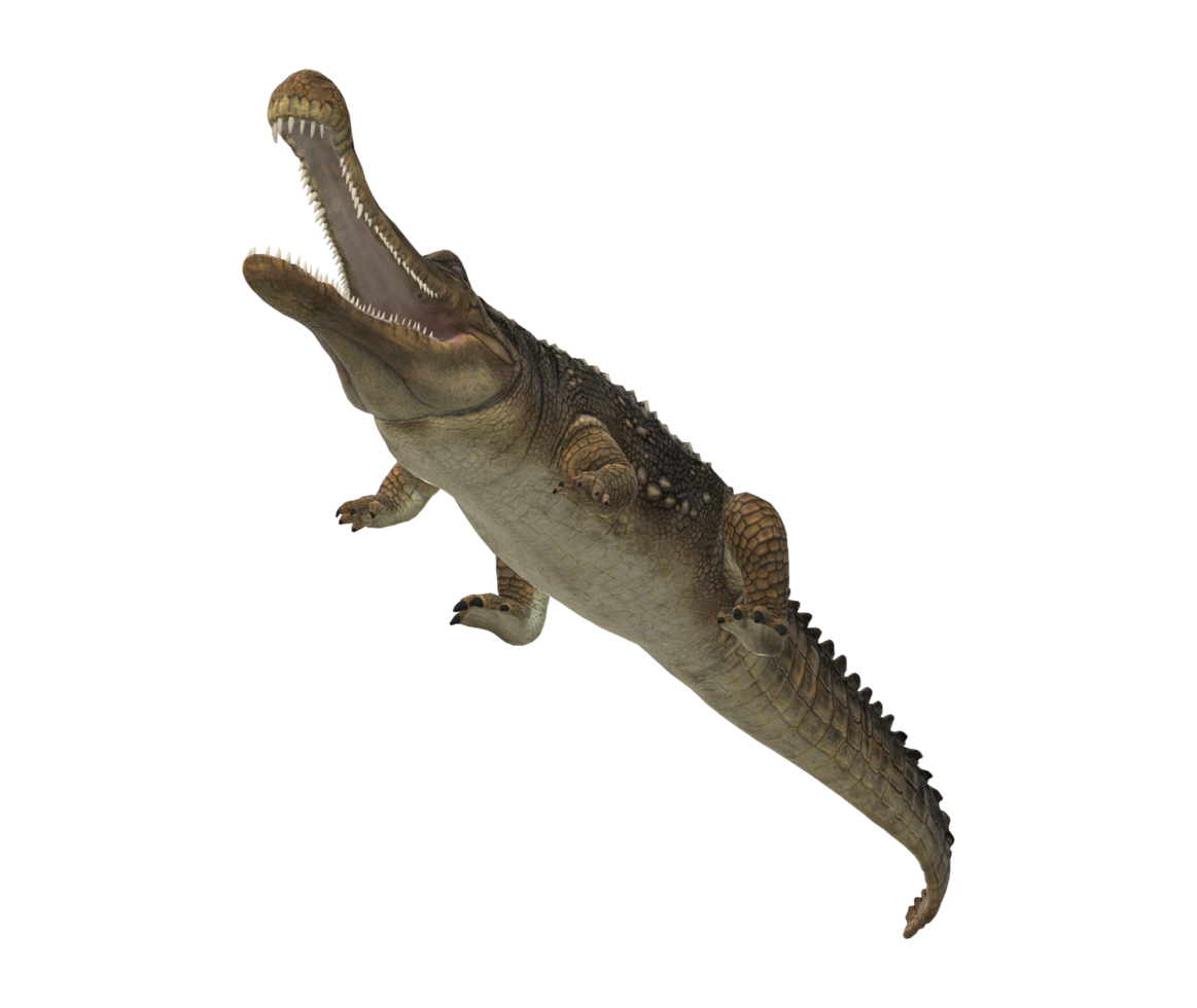 sarcosuchus krokodil isolerat på en transparent bakgrund png