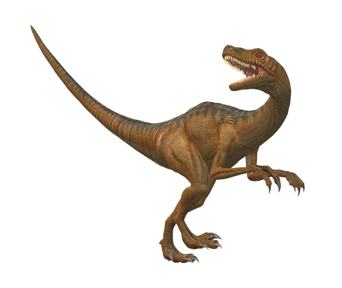 Velociraptor Tyrannosaurus Utahraptor Spinosaurus Dilophosaurus Png velociraptor-tyrannosaurus-utahraptor-spinosaurus-dilophosaurus-png