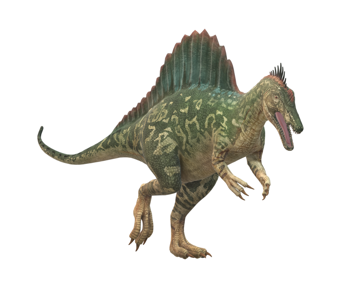Spinosaurus isolated on a Transparent Background png