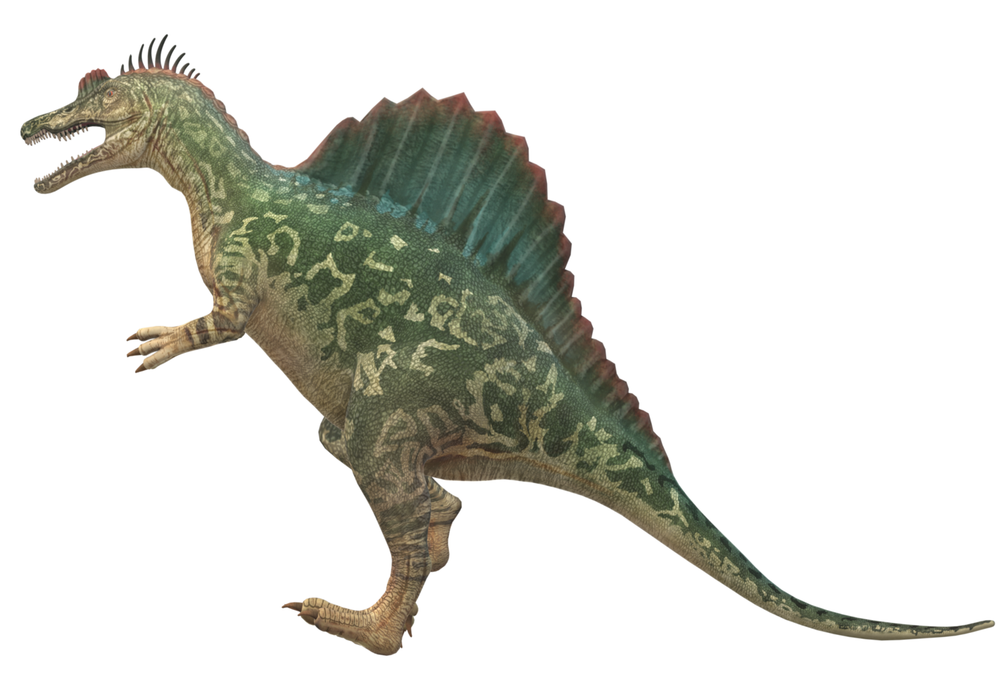 Spinosaurus isolated on a Transparent Background png