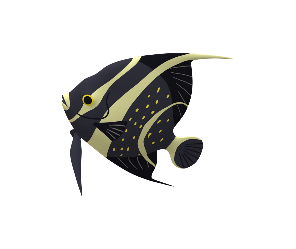 Angel Fish isolated on a Transparent Background png