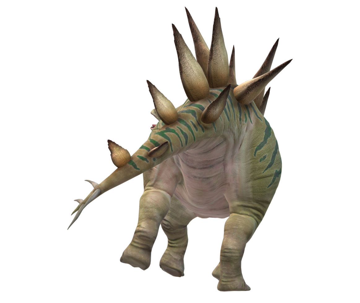 Stegosaurus Isolated on a Transparent Background png