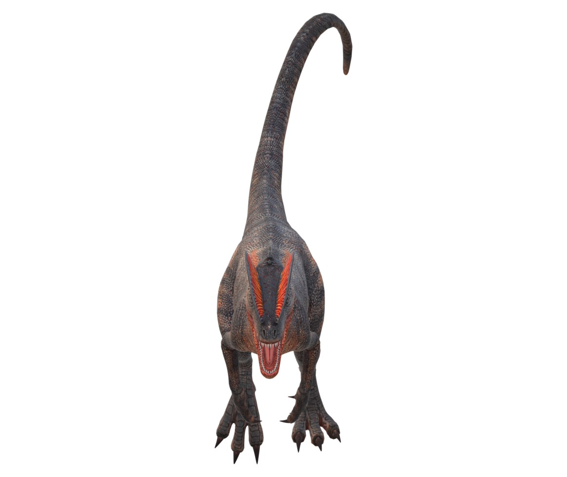 velociraptor dinosaurio aislado en un transparente antecedentes png