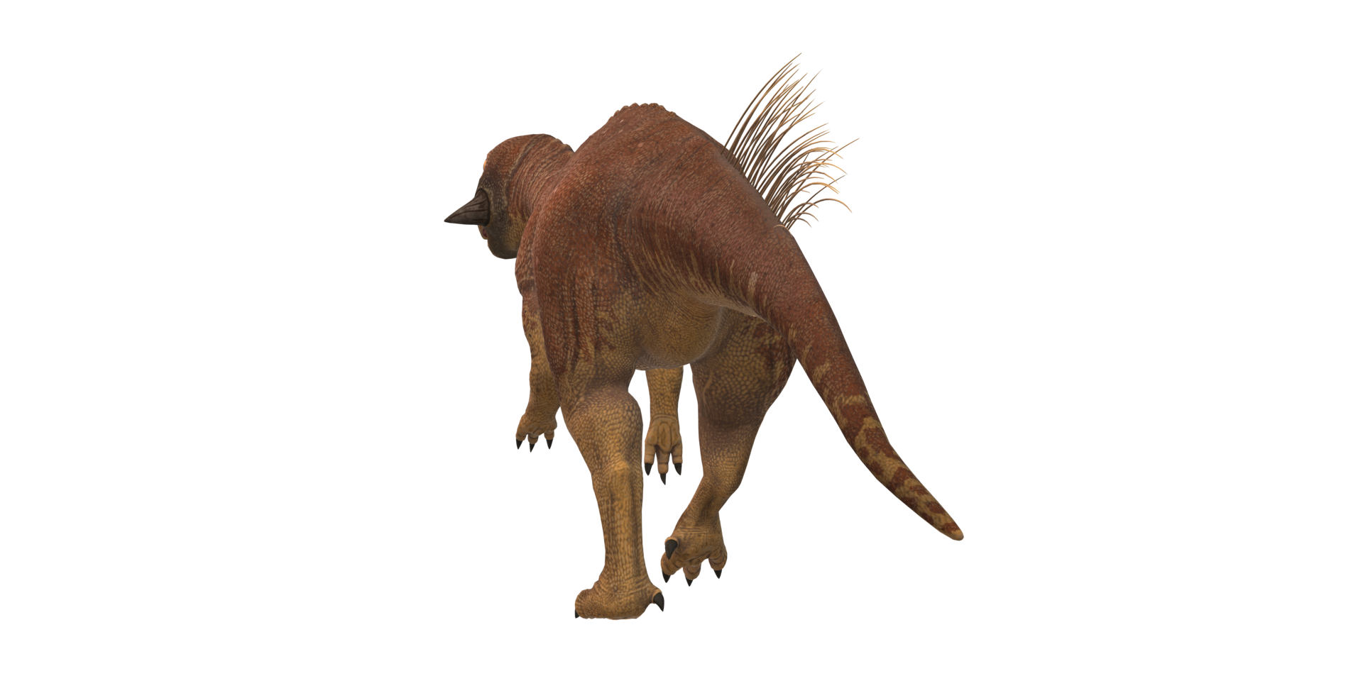 Psittacosaurus isolated on a Transparent Background png