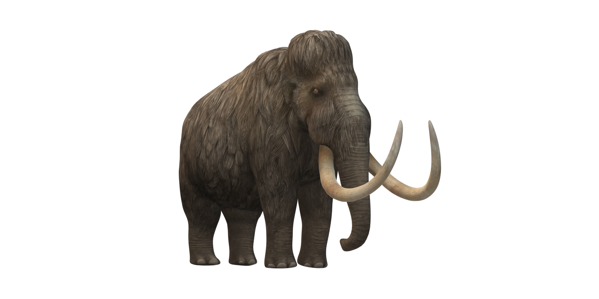 lanoso mamut aislado en un transparente antecedentes png