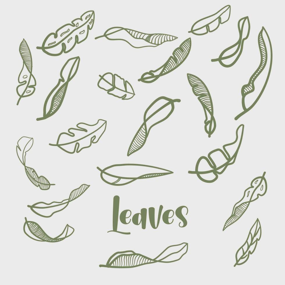 Set of hand drawn vector tropical leaves. Silhouettes of abstract branches in minimalistic flat style isolated on white background. Natural elements with a line for the design of patterns