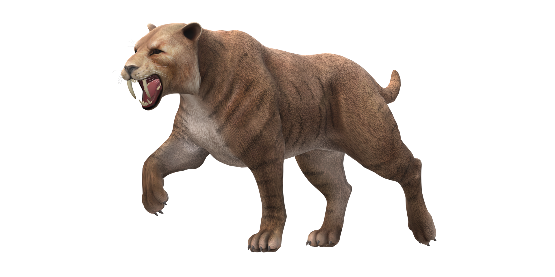 Sabre Toothed Cat isolated on a Transparent Background png