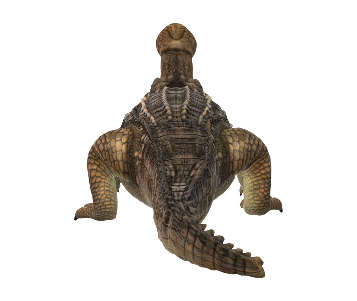 Sarcosuchus Crocodile isolated on a Transparent Background png