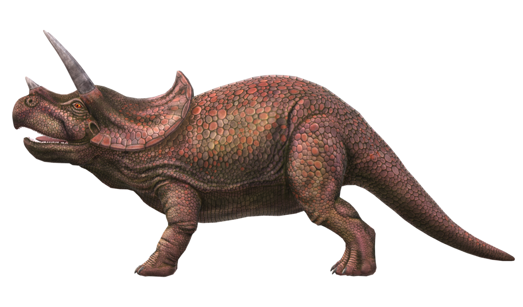 Triceratops isolated on a Transparent Background png