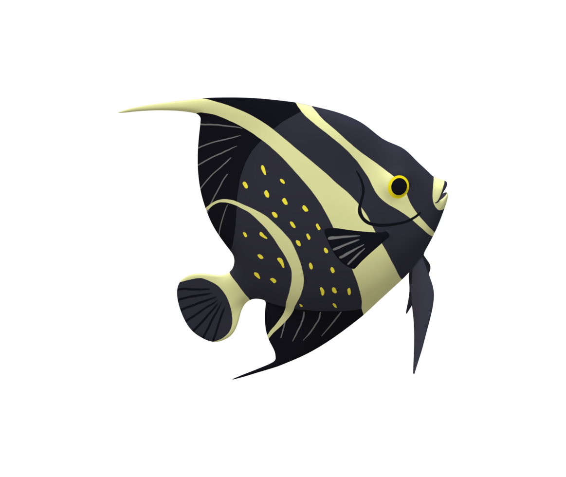 Angel Fish isolated on a Transparent Background png