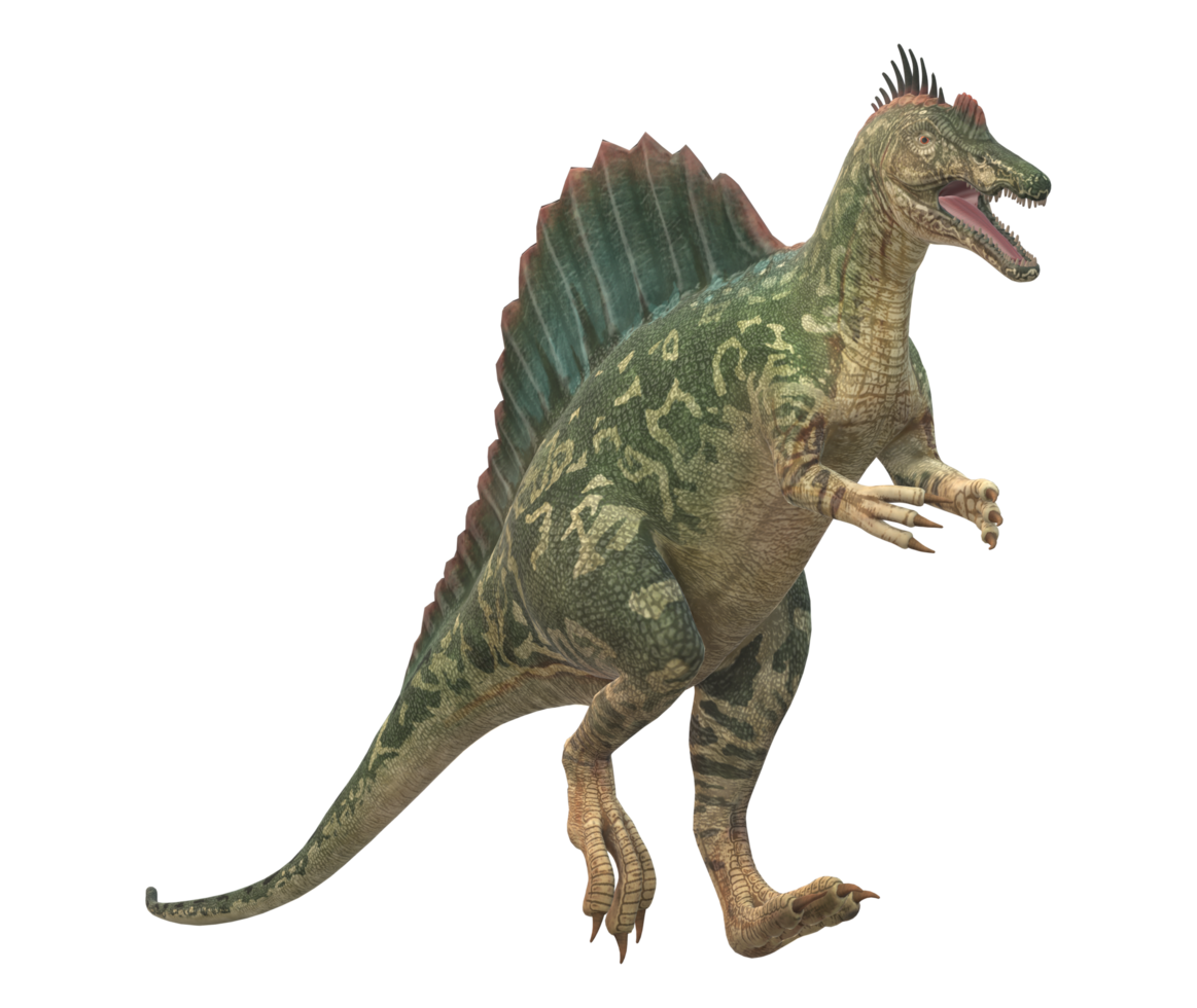 Spinosaurus isolated on a Transparent Background png