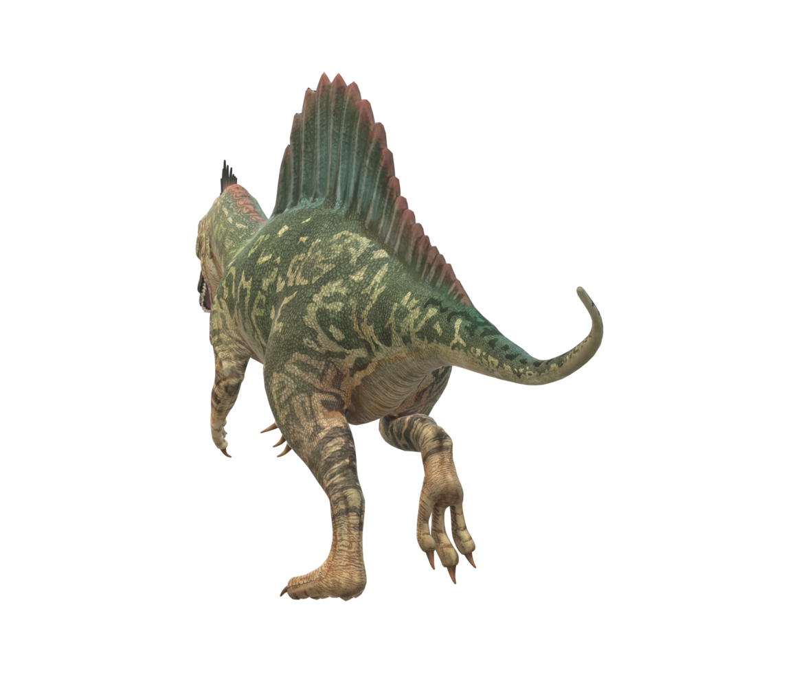 Spinosaurus isolated on a Transparent Background png