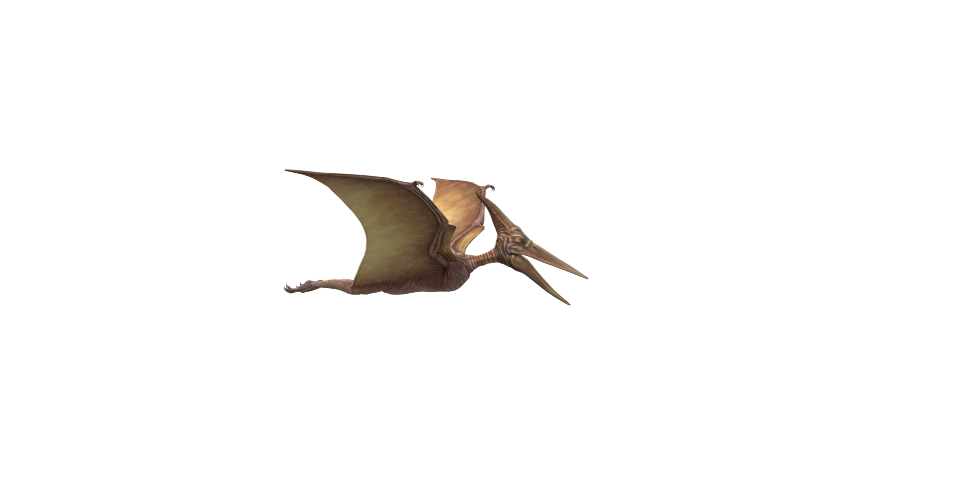 Pterodactyl isolated on a Transparent Background png