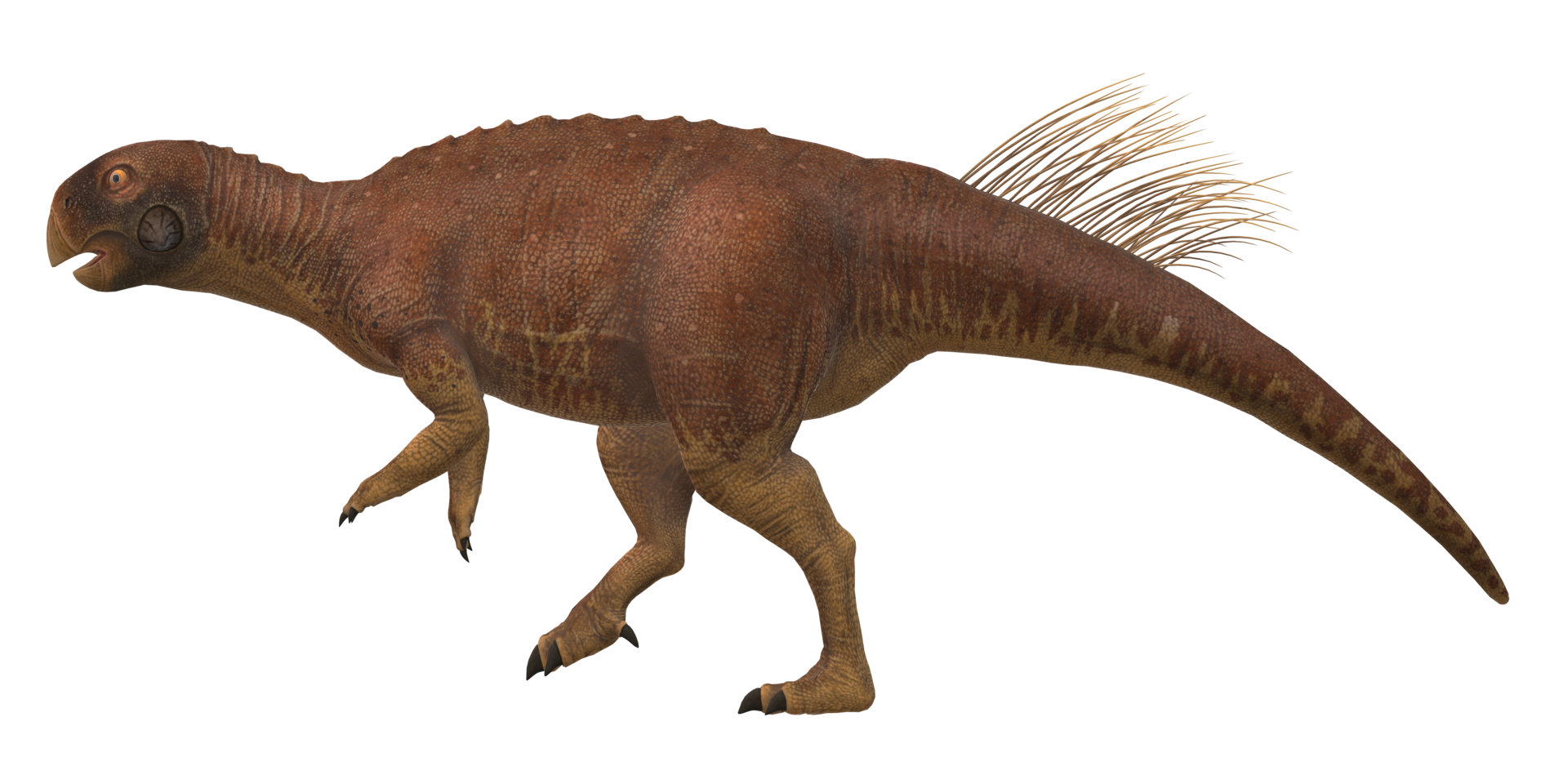 Psittacosaurus isolated on a Transparent Background png