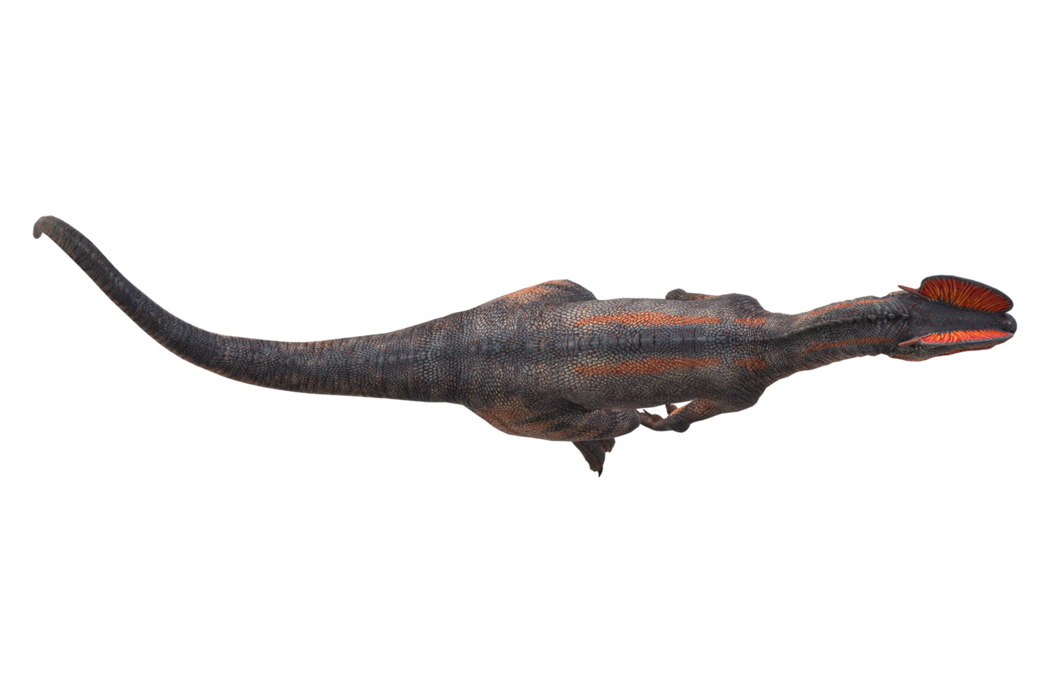 Velociraptor Dinosaur isolated on a Transparent Background png