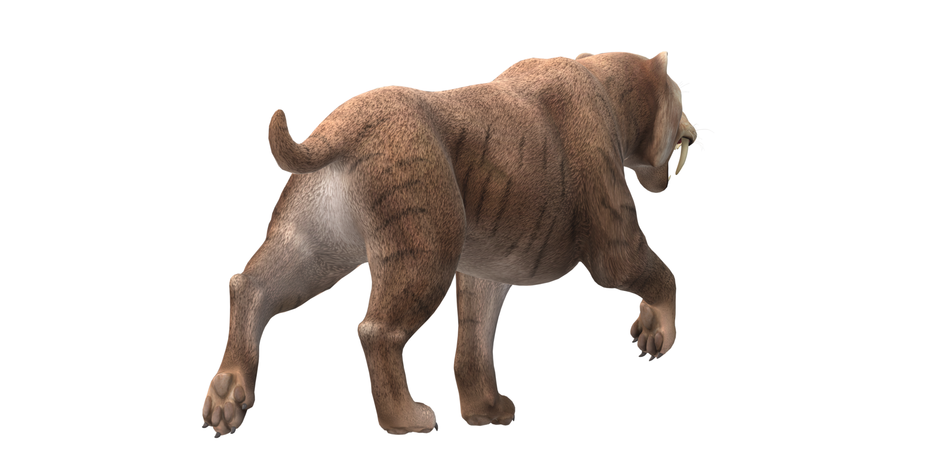 Sabre Toothed Cat isolated on a Transparent Background png