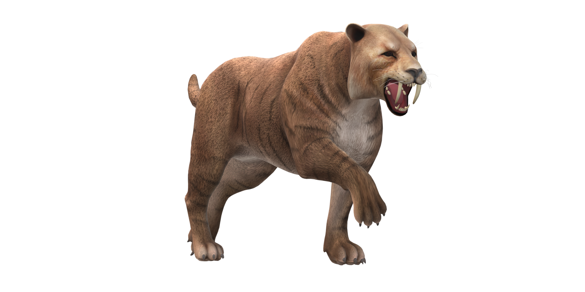 Sabre Toothed Cat isolated on a Transparent Background png