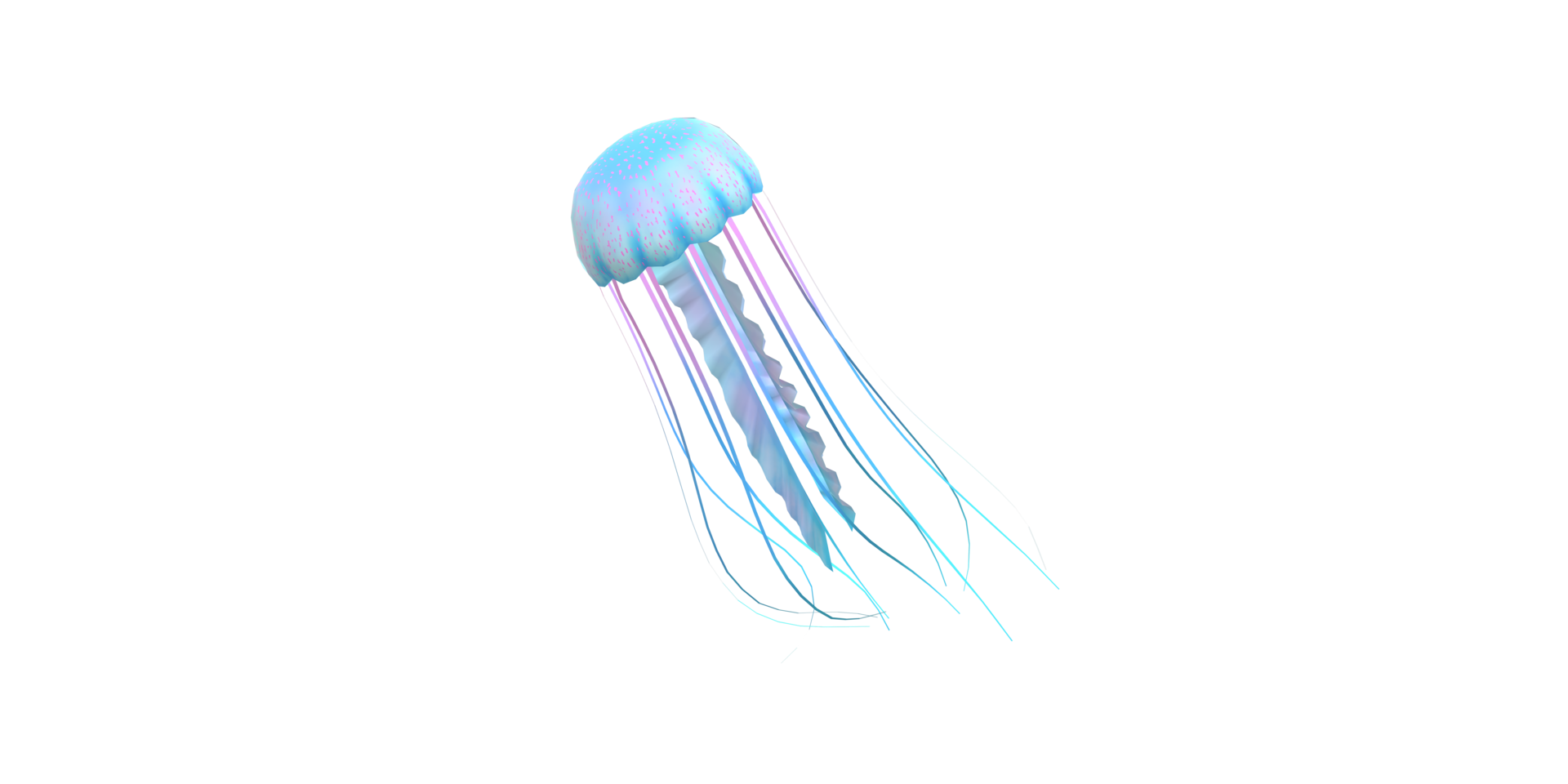 Jelly Fish isolated on a Transparent Background png