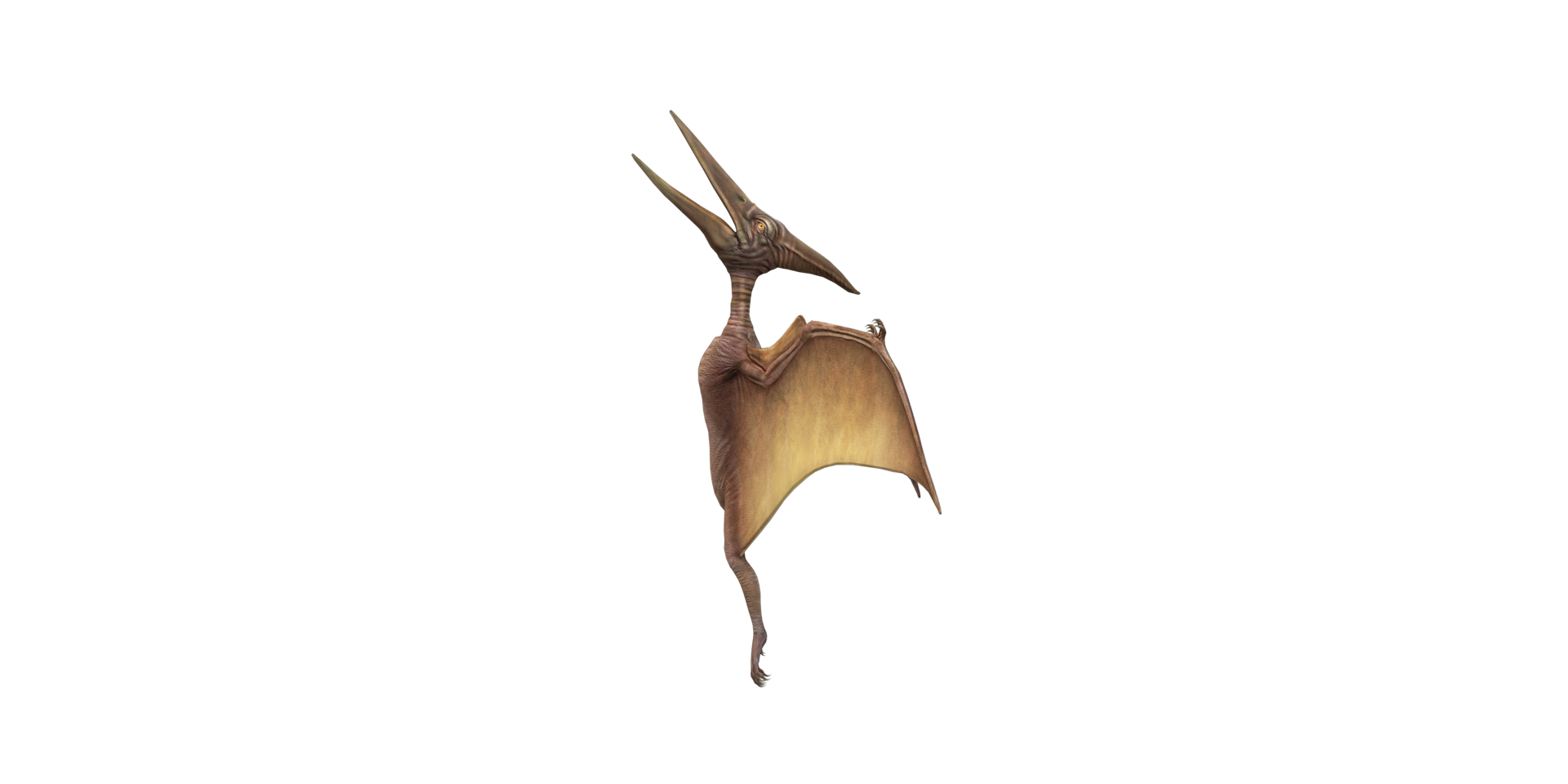 Pterodactyl isolated on a Transparent Background png