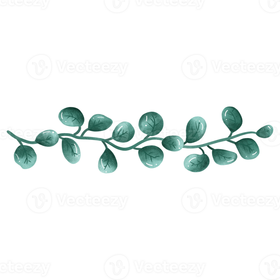 Leaf vine decoration png