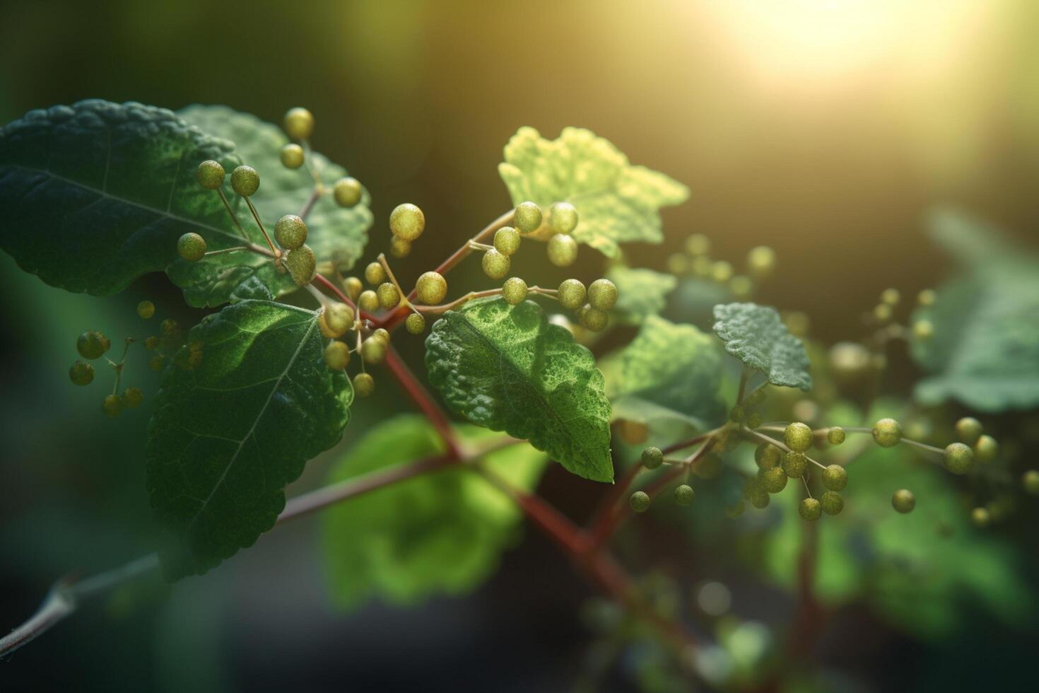 Close-up Images of Plants as a Symbol for Reactive Oxygen Species photo