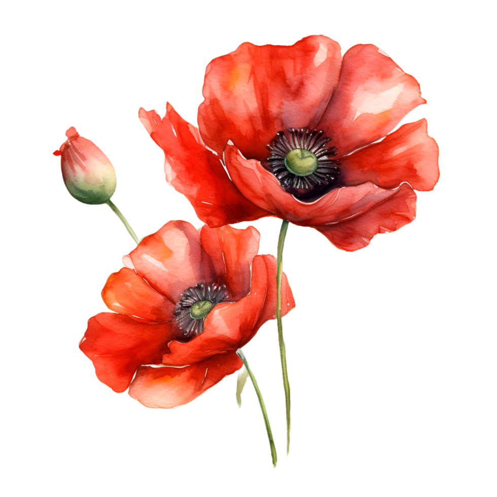 röd blommor vattenfärg ClipArt ai genererad png