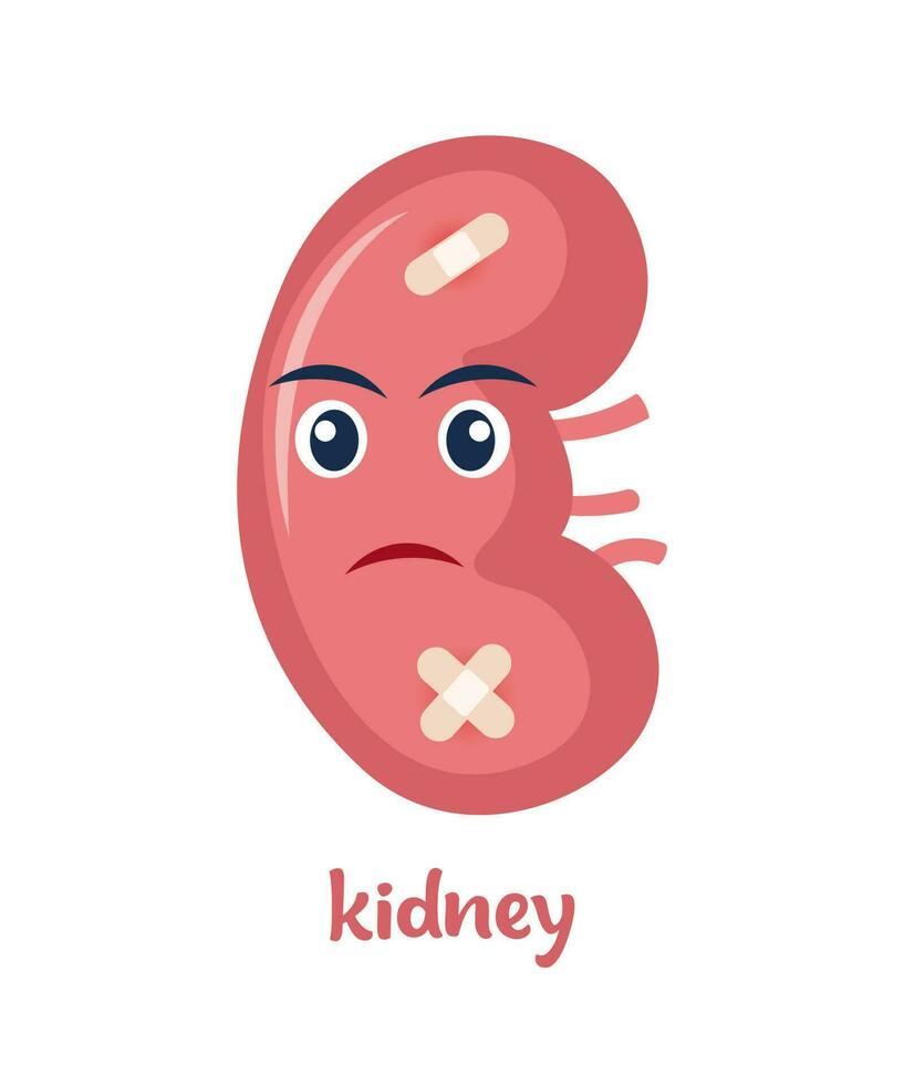 Sick kidney with pain ache or disease. Sad cartoon character kidney, body organ injured or unhealthy. Human cartoon anatomy, kids medicine. Vector illustration.